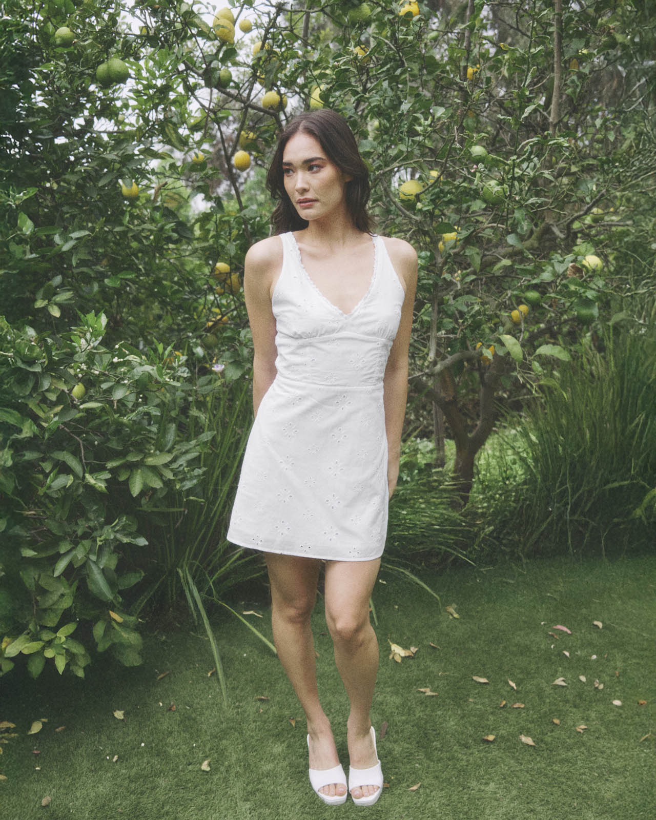 V-Neck Eyelet Mini Dress - Image 3